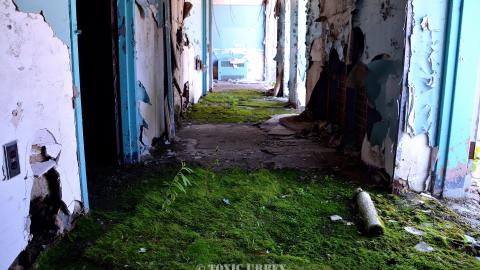 2018-2019 - DSC_0169.JPG