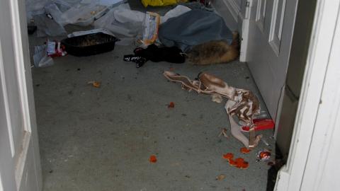 Scott St White - scott-st-white-house_14030438447_o.jpg