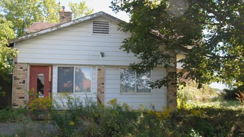 Baby Powder Beauty - 14423379258_617a3ae94b_o.jpg