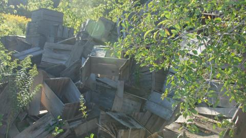 Orchards 2012 - 14423634549_7286724050_o.jpg