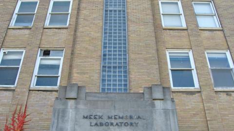 Family Legacy - 1_17125944690_o.jpg