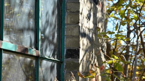 Family Legacy - 7_16693231443_o.jpg