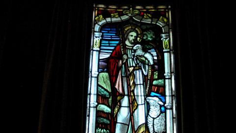 Family Legacy - 17_17125941970_o.jpg