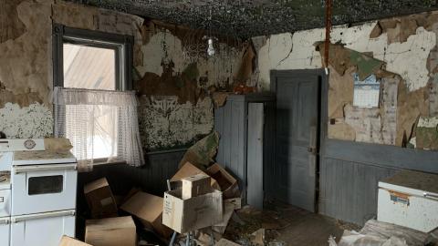 Photo from Still here