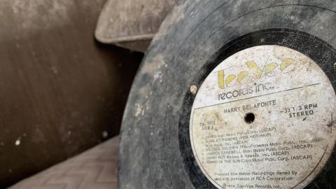 Still here - 76796150-D233-4B45-A4F1-CAEFFF6F7503.jpeg