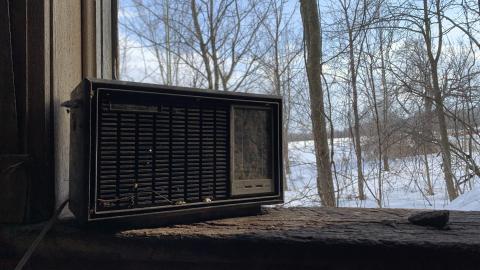 Still here - 924AE333-1FD0-4451-9244-ED04FD6A619D.jpeg