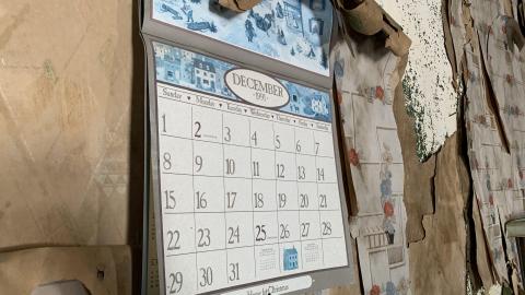 Still here - C6EE334E-728C-4EC2-96DD-BC72423E4B03.jpeg