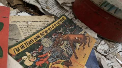 Still here - 356A838B-2604-4824-95E3-56EC995E4C5B.jpeg