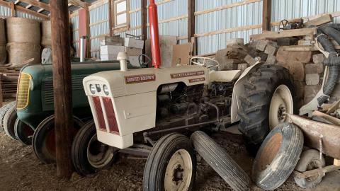 Still here - 23AD719E-6EE1-4218-9ED6-3B2030BCAE0C.jpeg