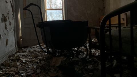 Still here - 351227DA-45C6-4902-A871-59EA421854A3.jpeg