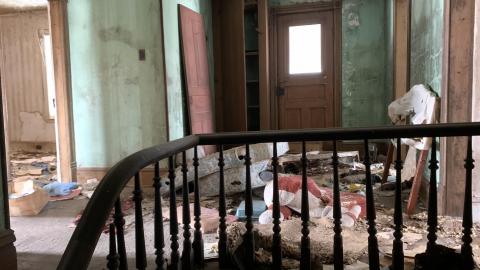 Still here - 2E1D5B73-D581-48AF-9213-C8D987C4994F.jpeg