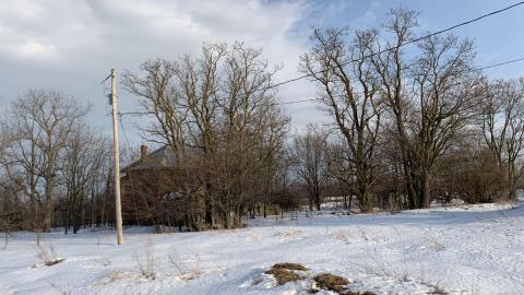 Still here - 4C964730-0210-41C1-9C4A-B1A1D877155D.jpeg