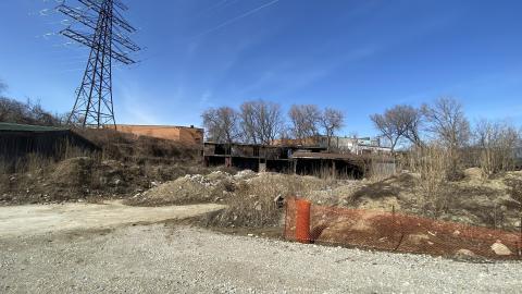 Mar 2021 - AAB20CA3-CA10-4812-B334-05D3AF19C150.jpeg