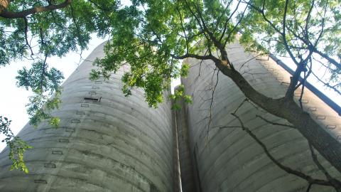 Not Plains - DSC_0499.JPG