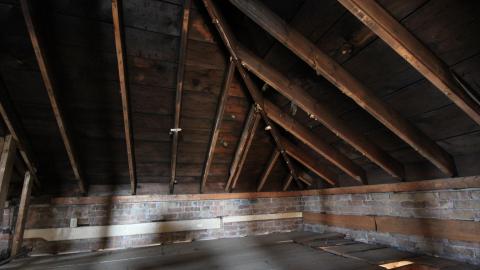 Ran Thru In March - IMG_8914.JPG