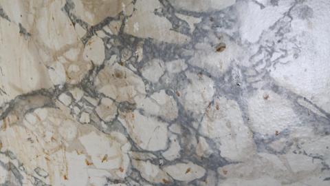 Ran Thru In March - IMG_8888.JPG