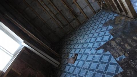 Ran Thru In March - IMG_8880.JPG