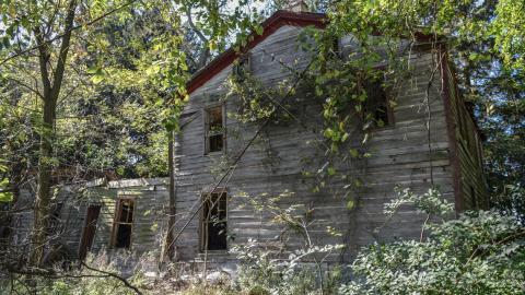 Oct 2018 - DSC_0177.jpg