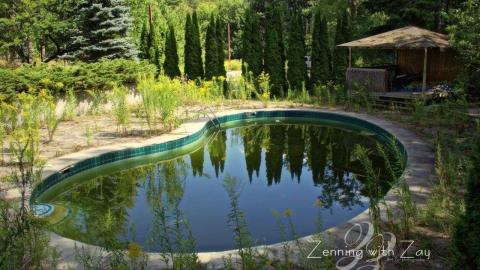 August 2016 - FB_IMG_1615390312146.jpg