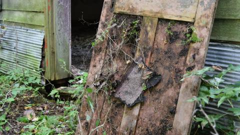 Oct 2018 - DSC_0184.jpg