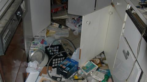 Here Kitty Kitty - 27940620457_c7c4d56679_o.jpg