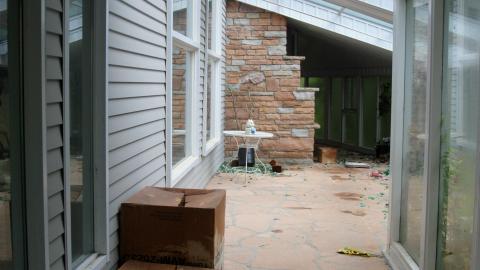 Here Kitty Kitty - 42045939425_093cd1dd49_o.jpg