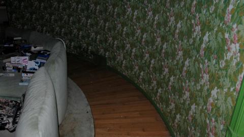 Here Kitty Kitty - 42045939945_584e6e50e3_o.jpg