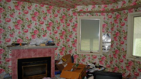 Here Kitty Kitty - 42045940425_fd59e84b11_o.jpg