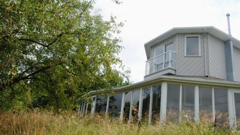 Here Kitty Kitty - 42228932624_4bf2451288_o.jpg