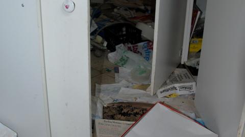 Photo from Here Kitty Kitty