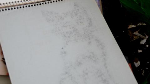 Photo from Here Kitty Kitty