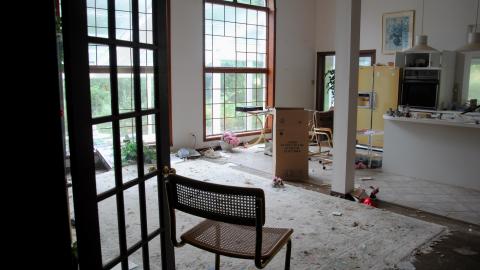 Here Kitty Kitty - 42228933934_dd95d1314e_o.jpg