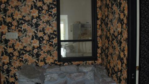 Photo from Here Kitty Kitty