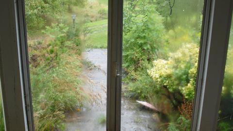 Here Kitty Kitty - 42228934494_9dd7bce4a6_o.jpg