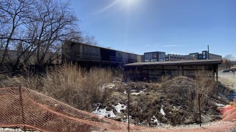 Mar 2021 - 916014E2-ED85-4AB5-A65D-7AE4AF346AFA.jpeg