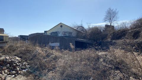 Mar 2021 - ABC4F5E3-ED22-4E69-8C21-EC2DC2CD3258.jpeg