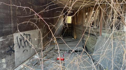 Mar 2021 - 541AEFC2-B7CD-451D-A951-5D959E4E9404.jpeg