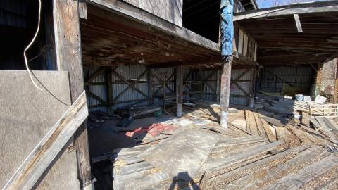 Mar 2021 - 53590E5C-CF76-4E6D-B64B-2268B621D506.jpeg