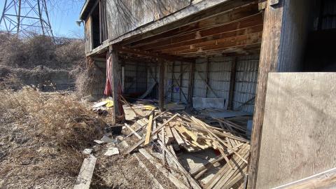 Mar 2021 - B33361AD-C6A6-4027-BD7E-C633A5406EEB.jpeg