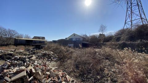 Mar 2021 - B8B915EC-06DC-4D19-A746-C50EE263BD8F.jpeg