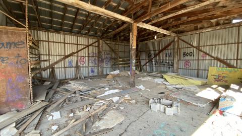 Mar 2021 - C678FA75-AF46-47F7-9AB4-DC92A68B1926.jpeg