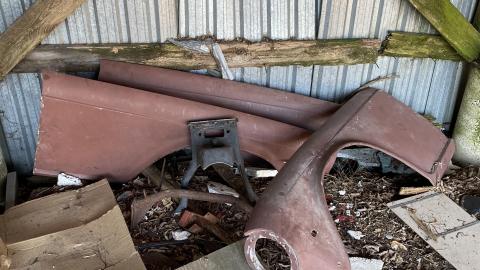 Mar 2021 - 76FA9F0A-1D85-4BC5-ADE1-76627265E399.jpeg