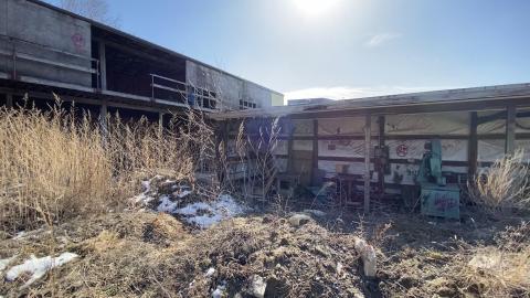 Mar 2021 - 0DE025AE-6918-4922-99EA-1ABB8C3FA8C2.jpeg