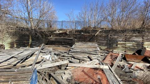 Mar 2021 - F091C234-F3EB-46D0-994E-73BB12B99F66.jpeg