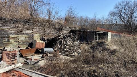 Mar 2021 - 51E0F20E-9ED6-4BF3-81F1-7BB72EAE18B2.jpeg