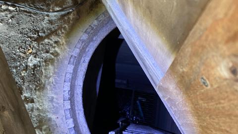 Mar 2021 - 1A80FCDF-C7EC-4491-AAF2-2C82F436BFAA.jpeg