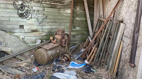 Mar 2021 - 0651C6F3-3710-4022-B2C7-411732181F50.jpeg