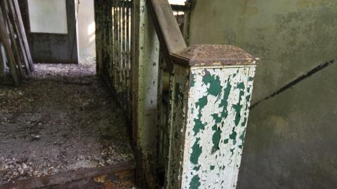 Photo from Flashback - August 2018