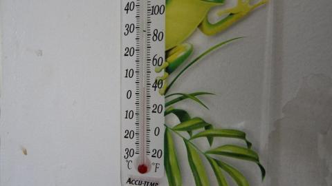 A Ticking Time-Bomb - IMG_9195.JPG