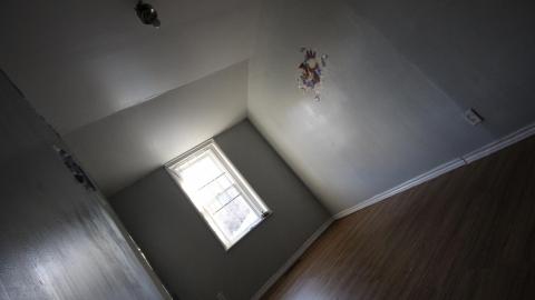 A Ticking Time-Bomb - IMG_9191.JPG